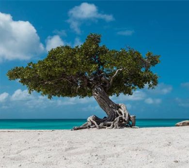 Island